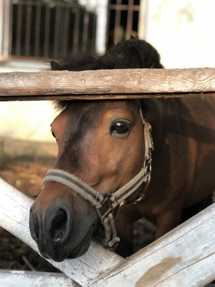 Photograph by Ирина Кононова