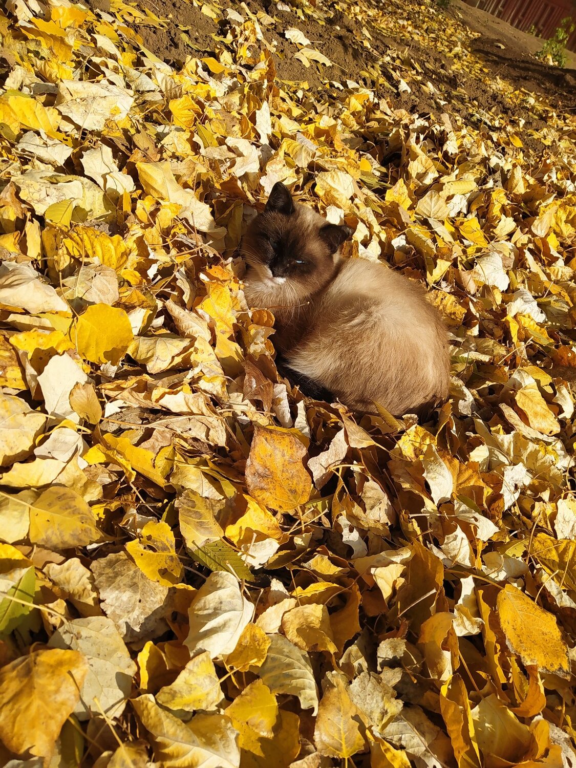 Photo #5095579