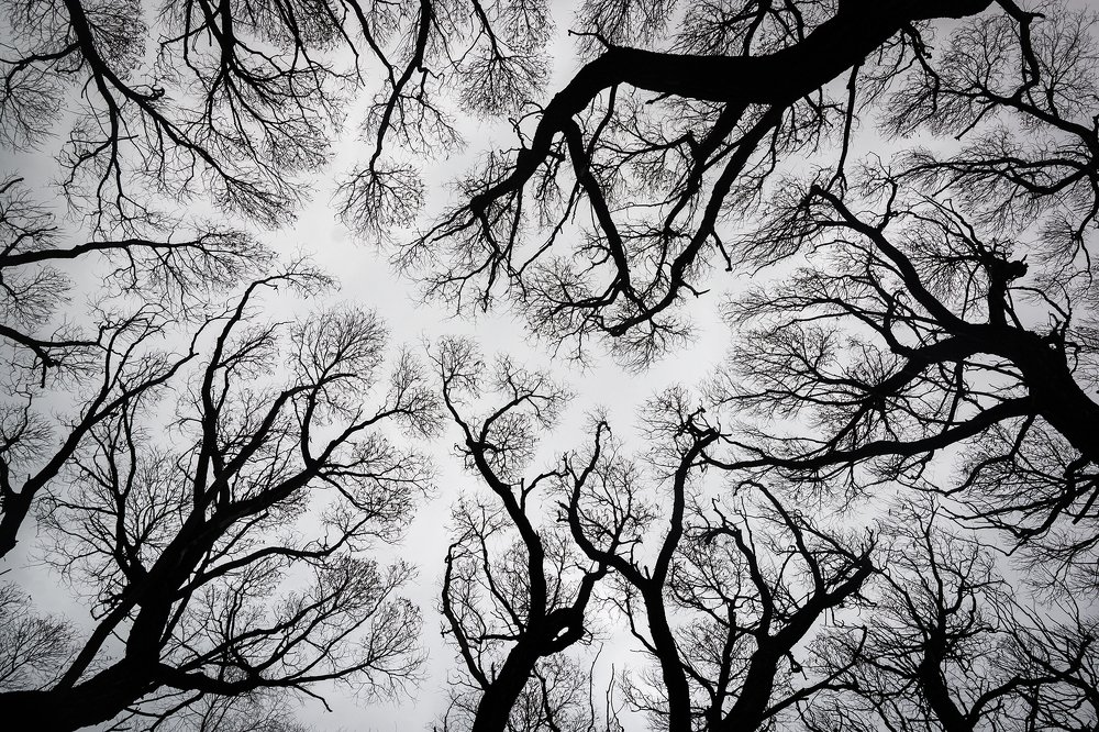 Photograph by Владимир Козьяков