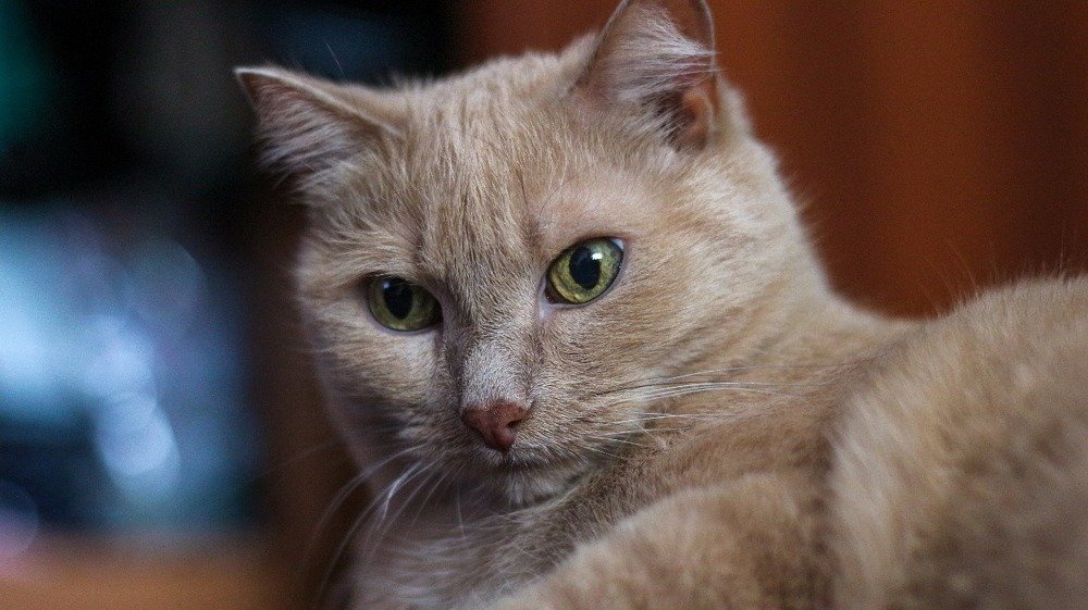 Photograph by Дмитрий Нестеренко