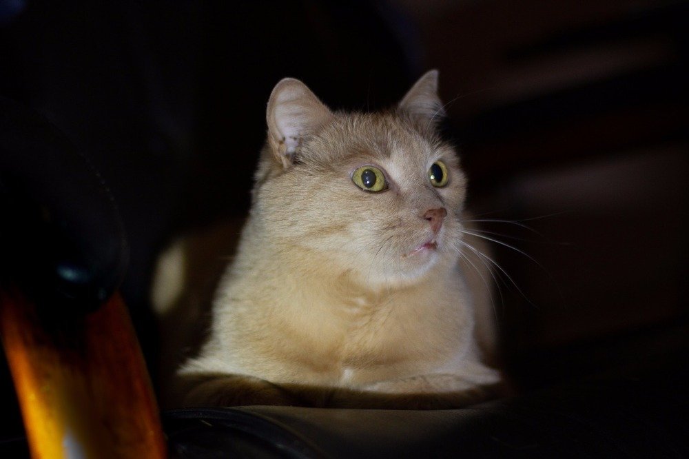 Photograph by Дмитрий Нестеренко