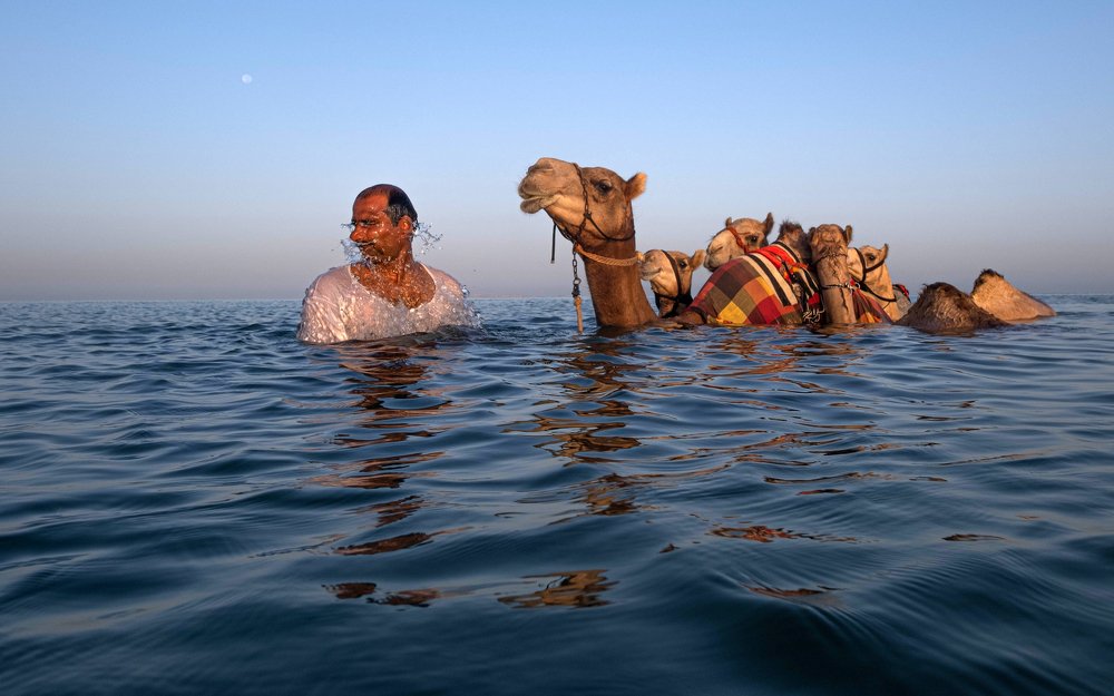 Beating The Summer Heat