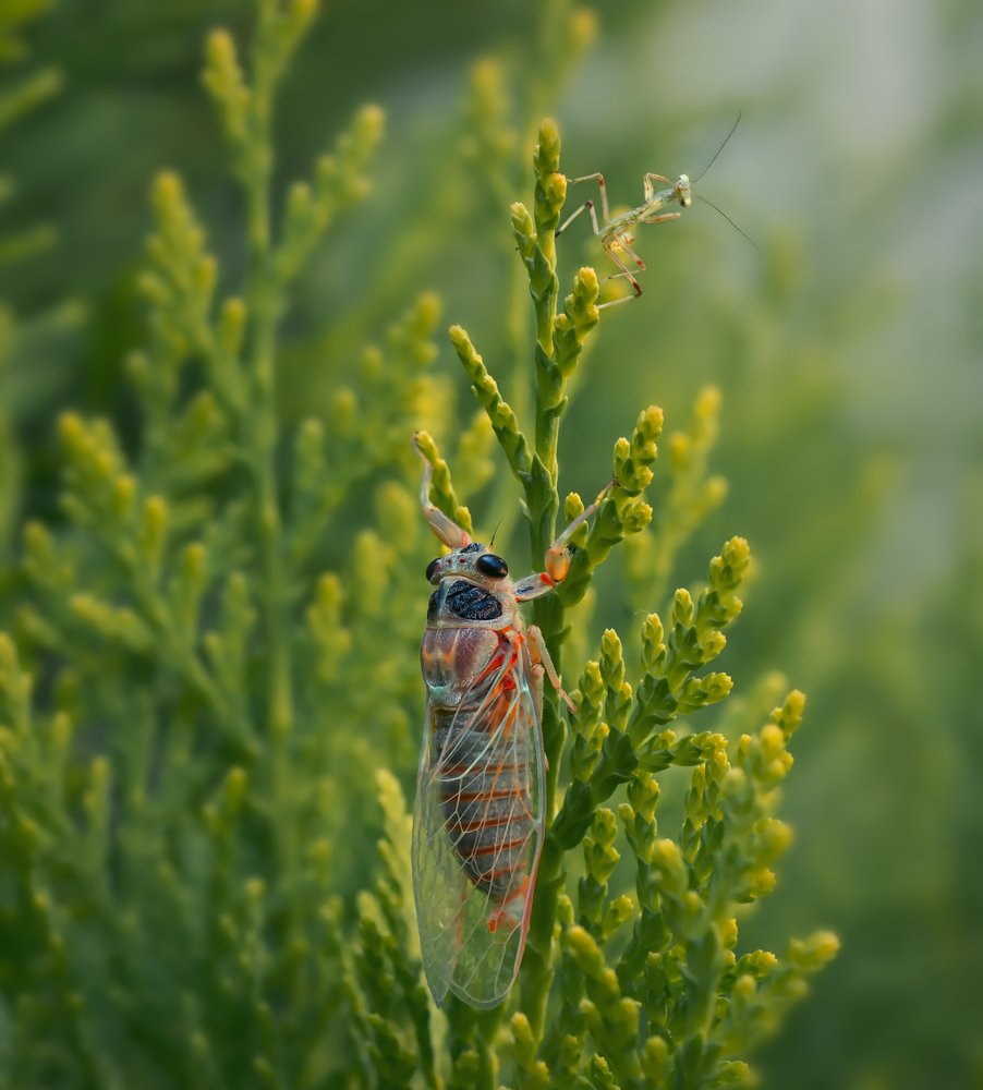Photograph by Тараненко Анжелика