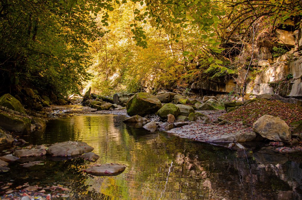 Осень,она такая....
