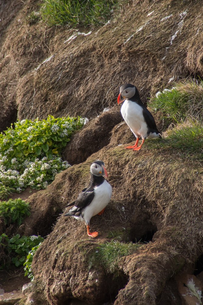 Photograph by Галина Михоношина