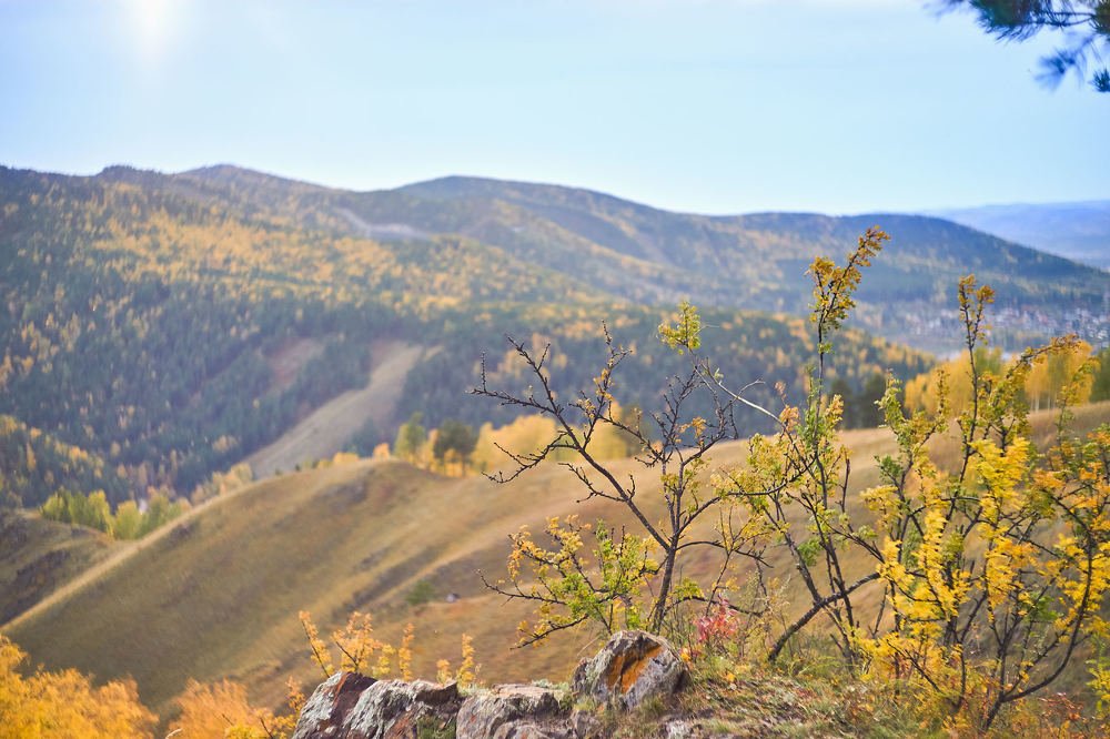 Photograph by Давыдов Павел