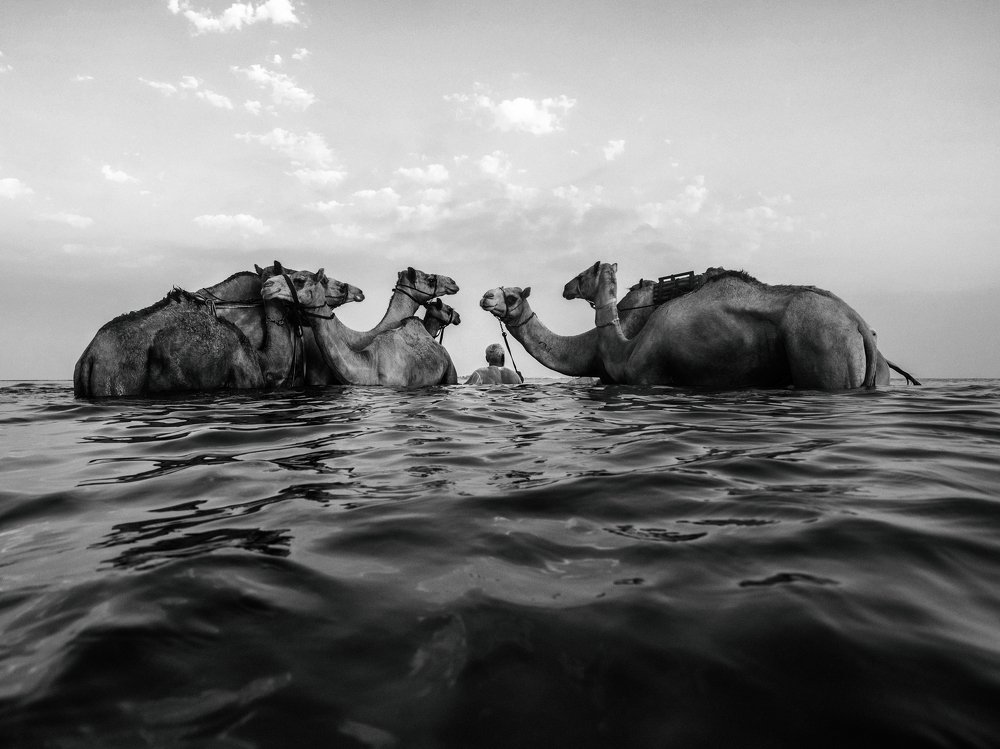 Photograph by TITTU SHAJI THOMAS