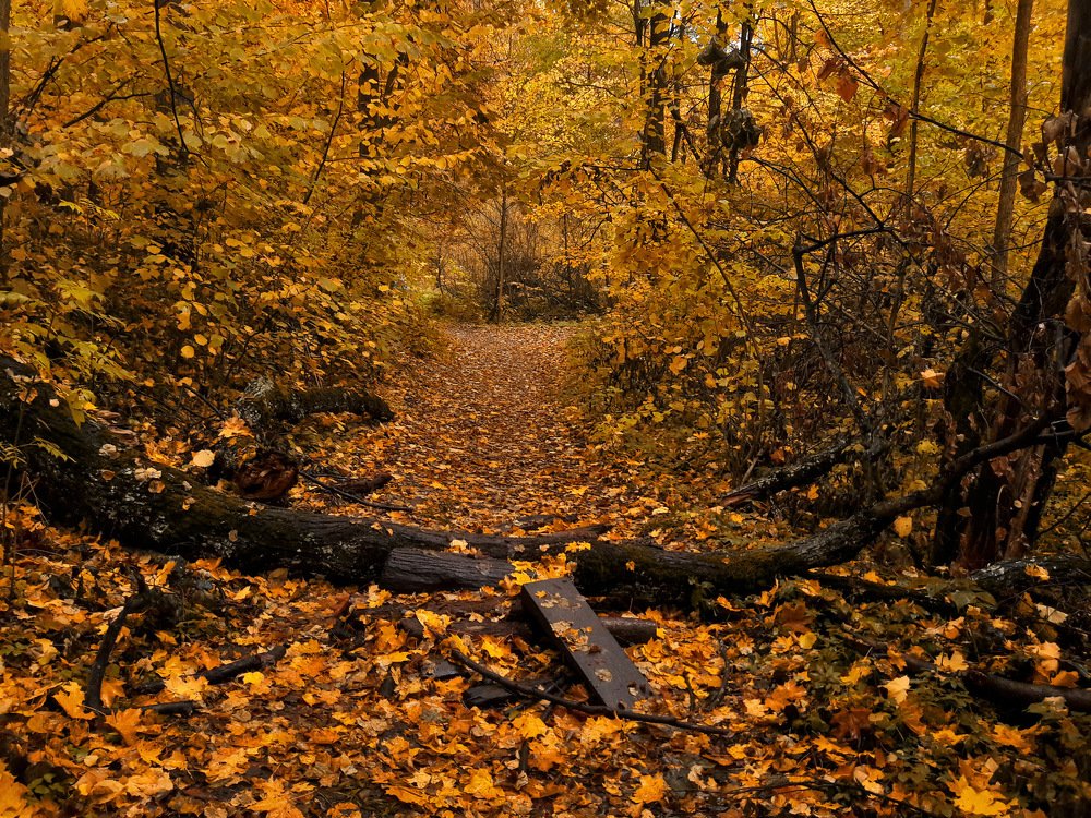 Photograph by Татьяна