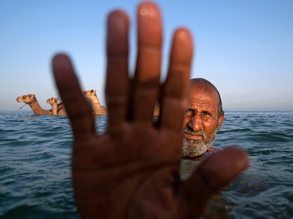 Photograph by TITTU SHAJI THOMAS