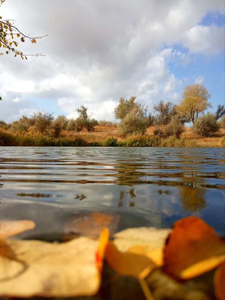 Photograph by Евгения