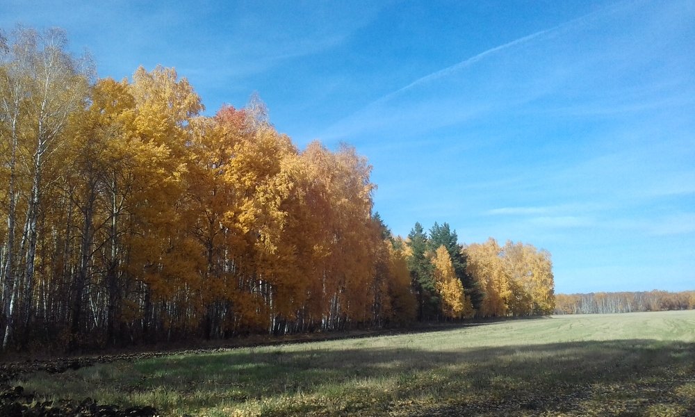 Photograph by Лида