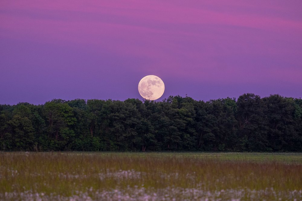 Photograph by Владимир Ганзиков