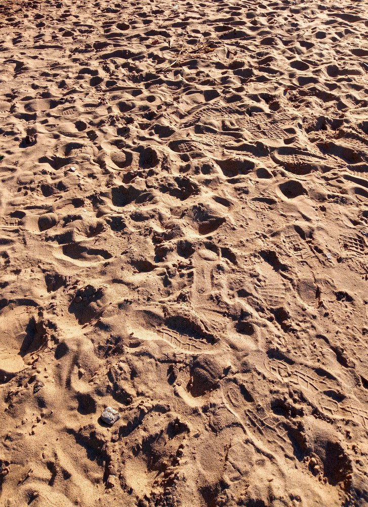 Photograph by Виталий Са