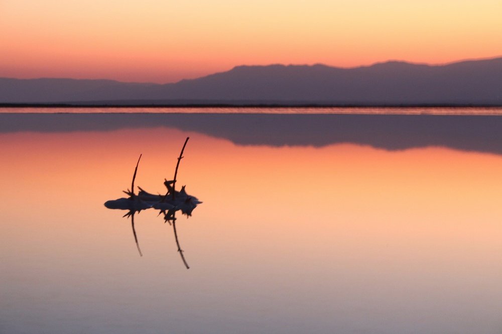 Photograph by Меира Исензон