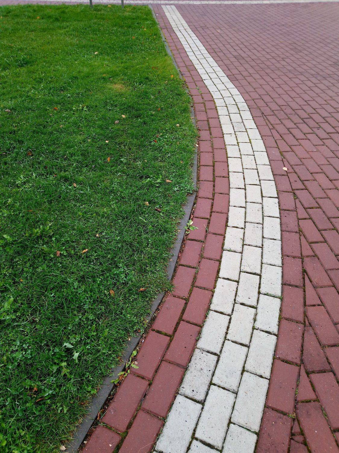 Photo #5095957