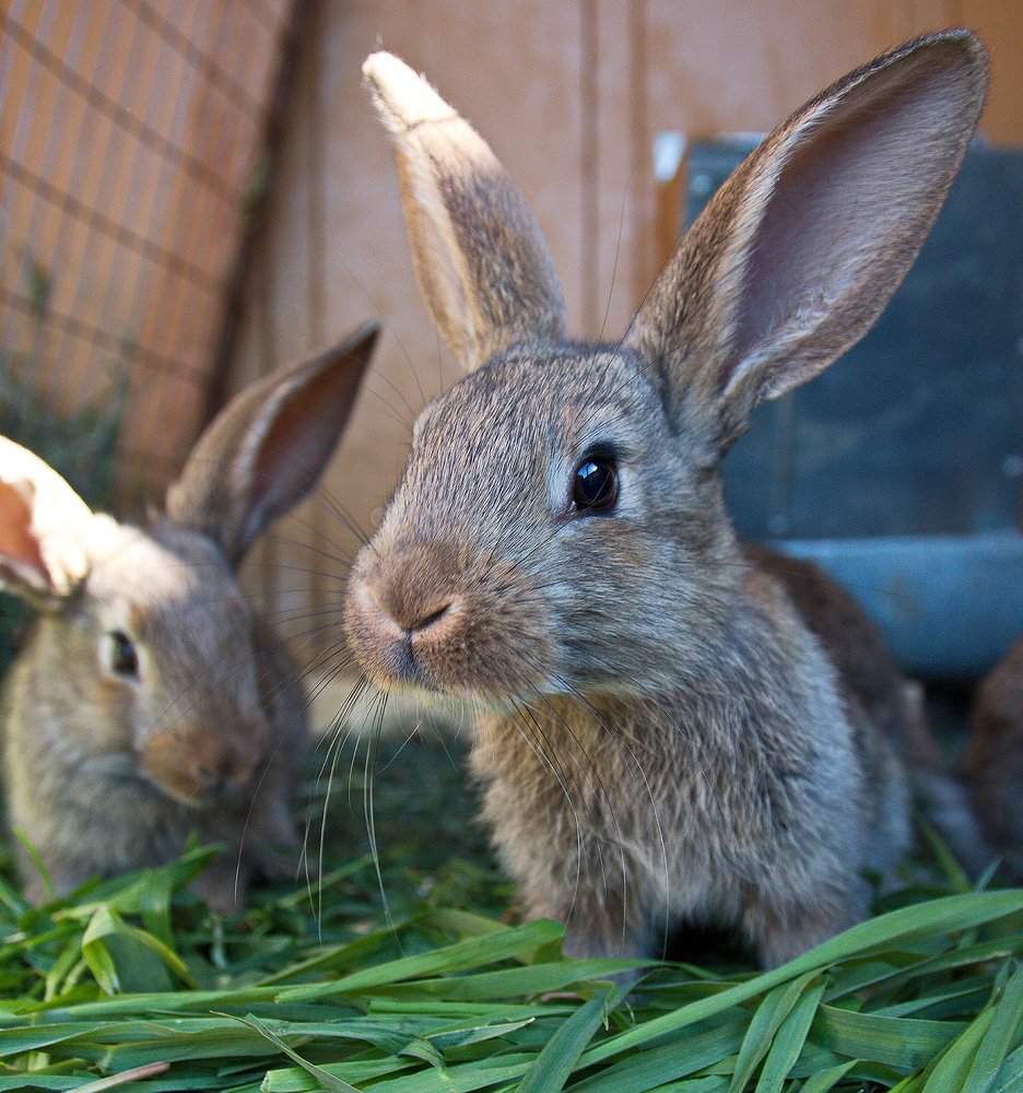 Photograph by Карякин Александр
