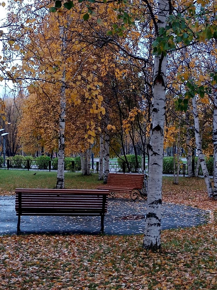 Photo #5095993
