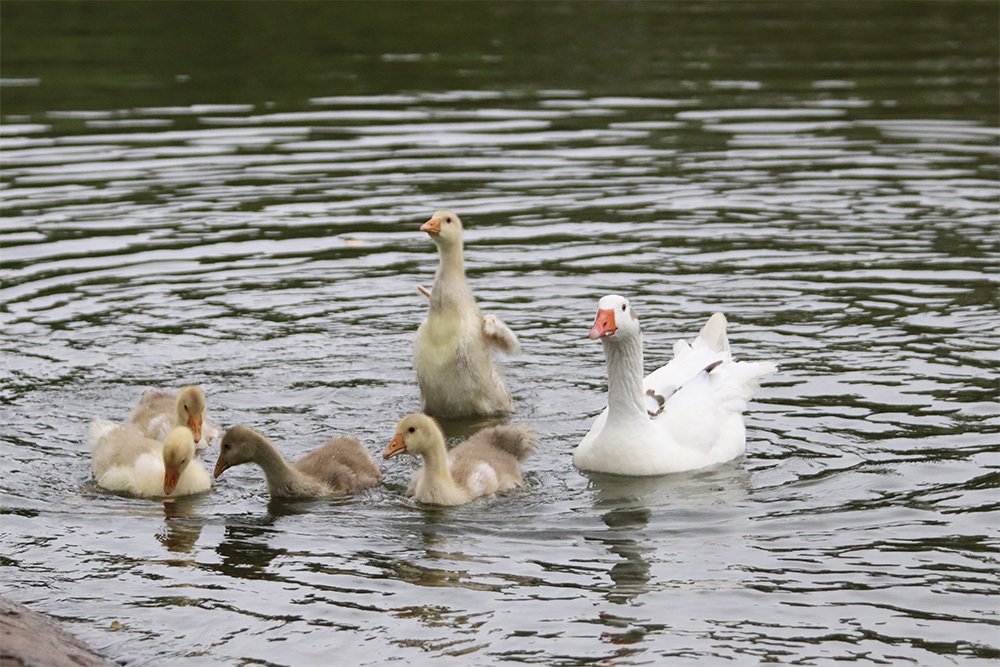 Фотография автора Alicia Rocca