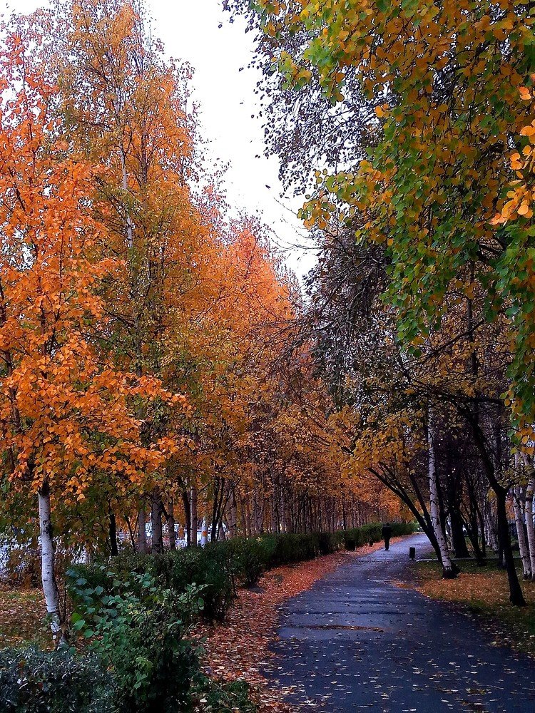 Photograph by Виталий Са