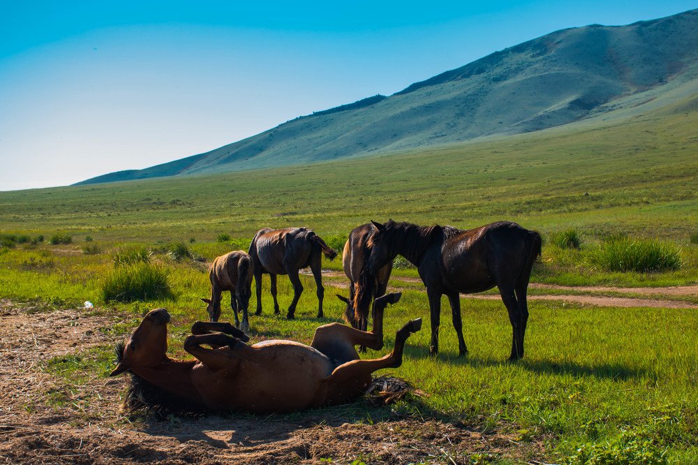 Photograph by Елена Прохорова