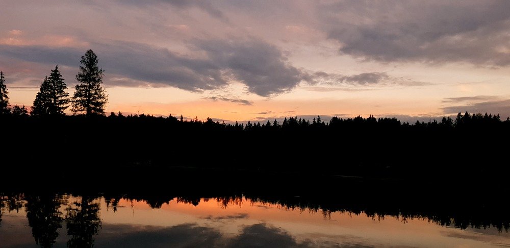 Photograph by Алина Веремеенко