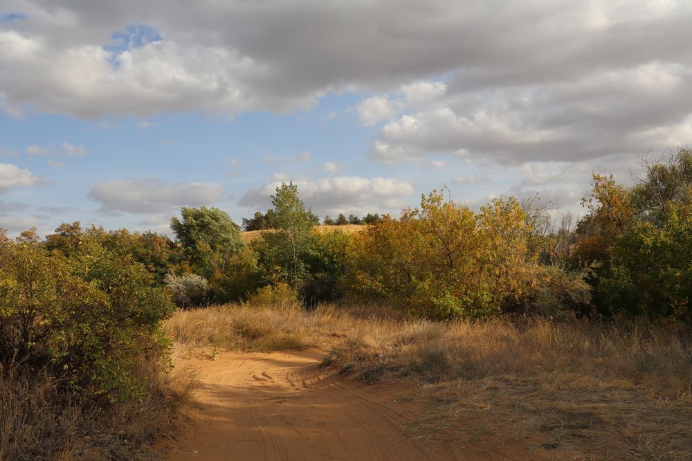 Photograph by Klimigo