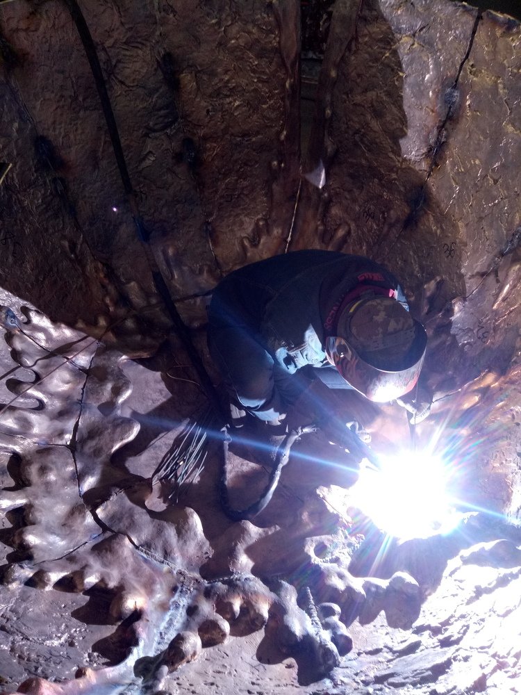 Photo #5096160