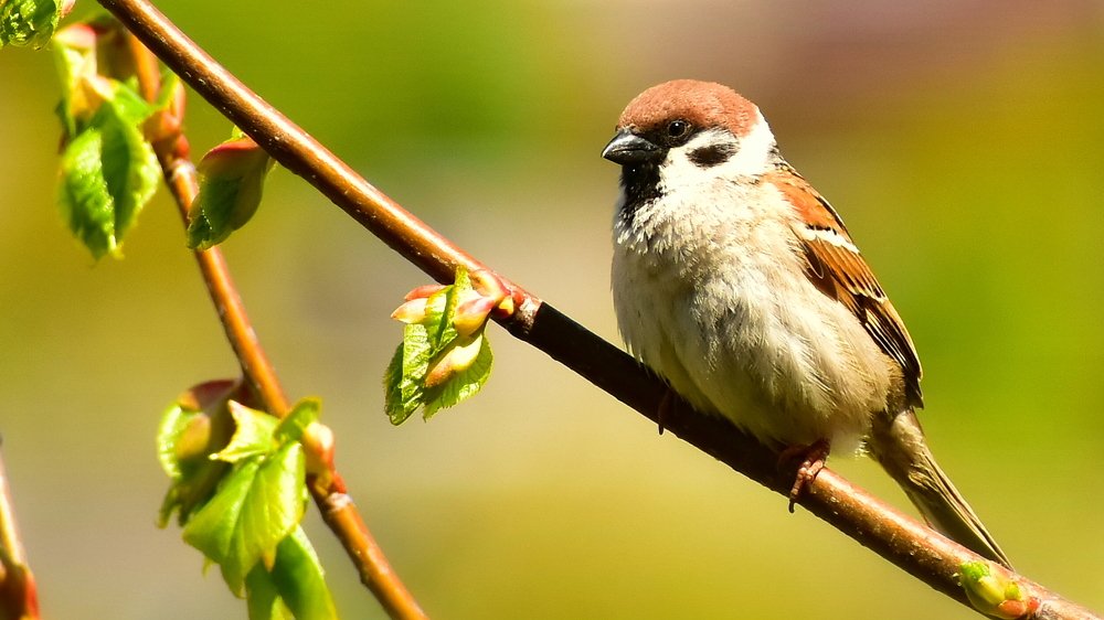 Photograph by Валерий Талейко