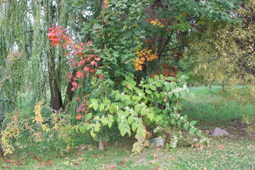 Фотография автора Катеренчук Андрей