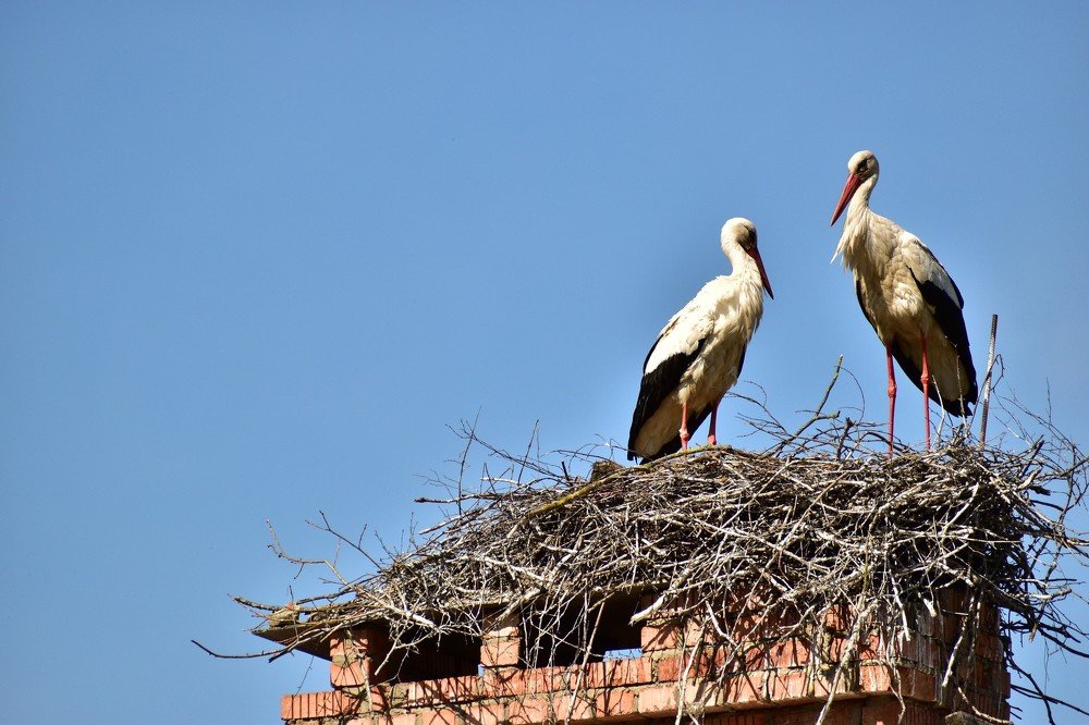 Photograph by Валерий Талейко