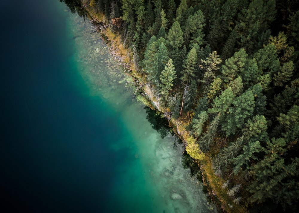 Photograph by Глеб Пурихов