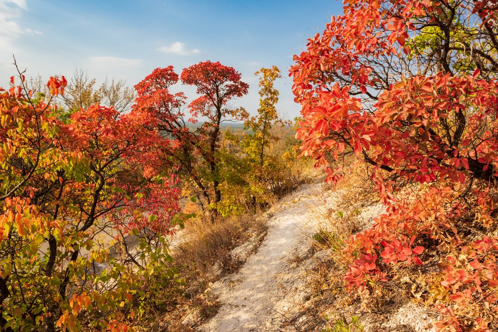 Photograph by Андрей Серый