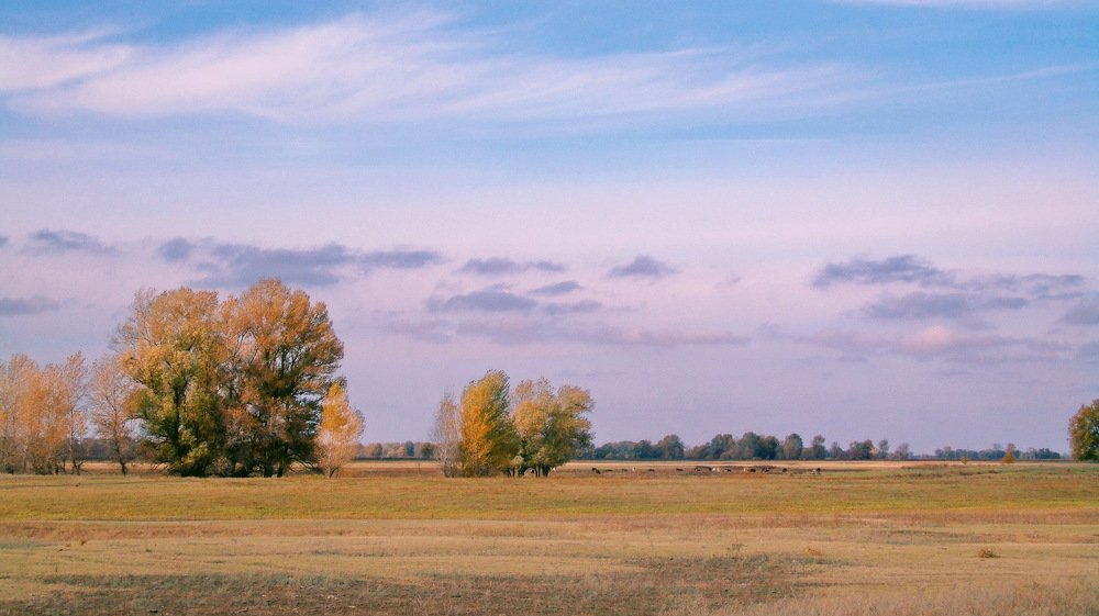 Осень в займище