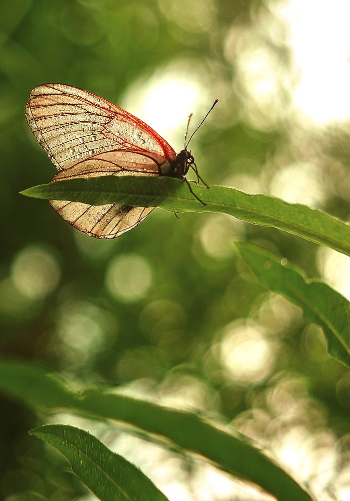 Photograph by Лариса Максименко