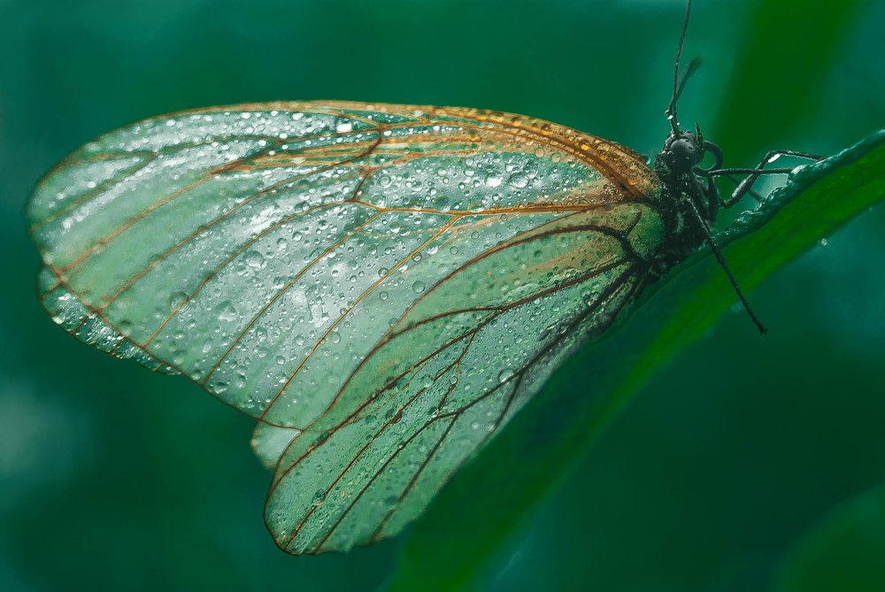 Photograph by Лариса Максименко