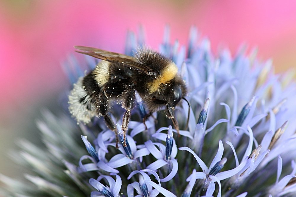 Photograph by Людмила Травина