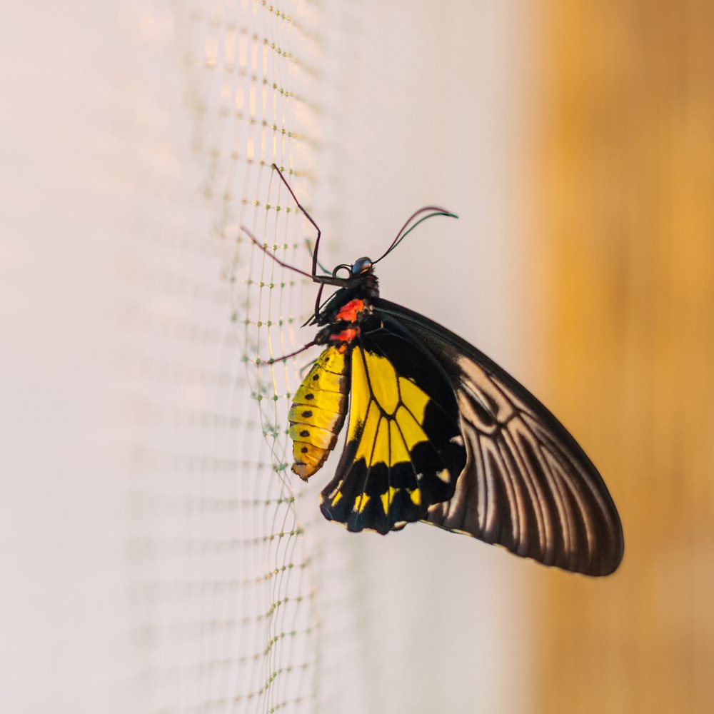 Photograph by Alekseu Maslovskiy