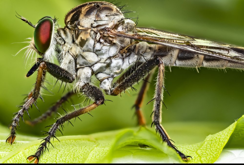 Photograph by Vinodkumar S