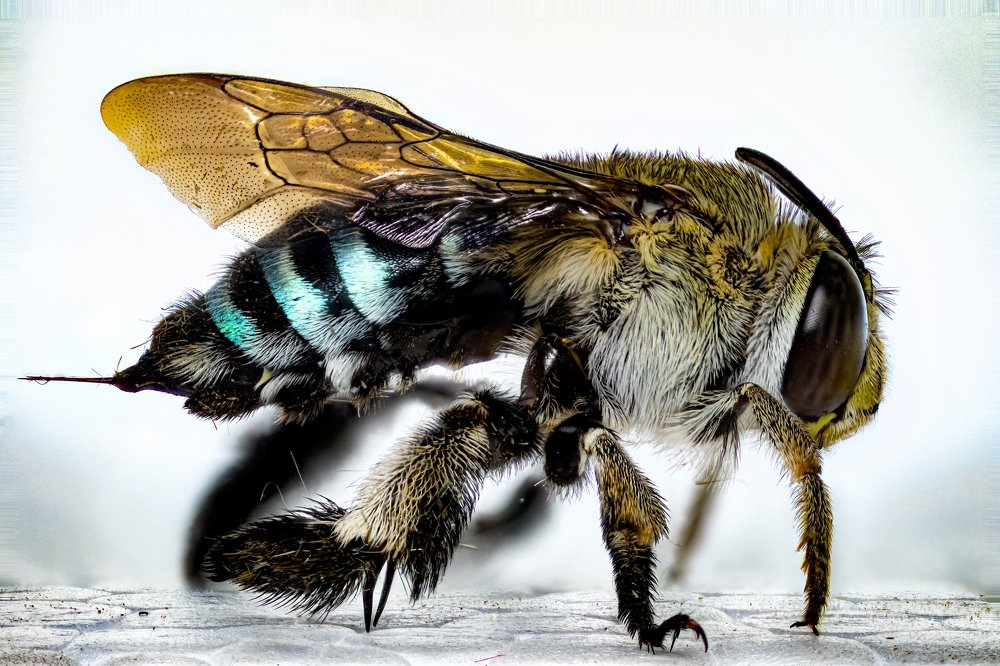 Photograph by Vinodkumar S