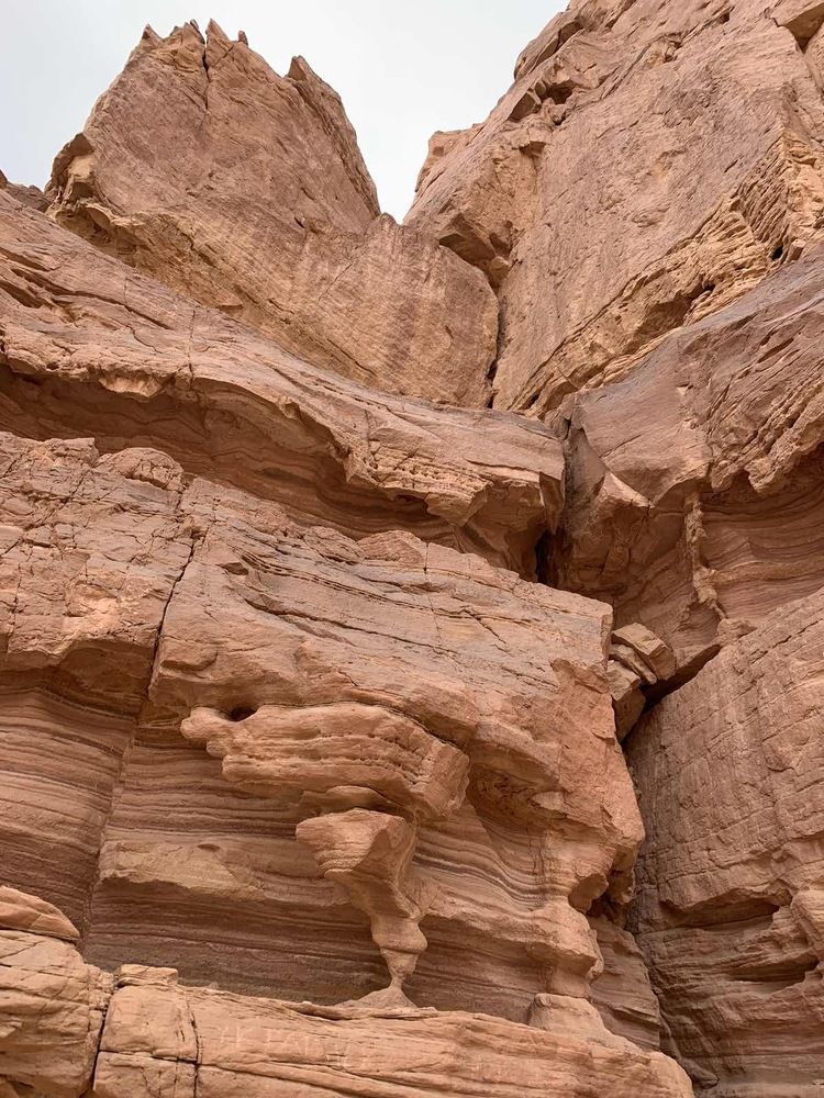 Photograph by Татьяна