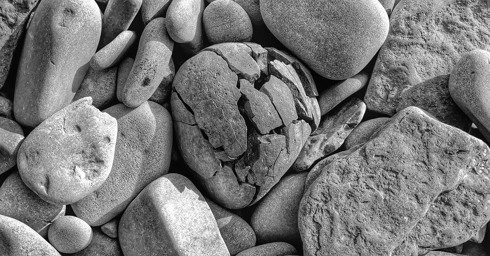 Photograph by Дмитрий Кустов