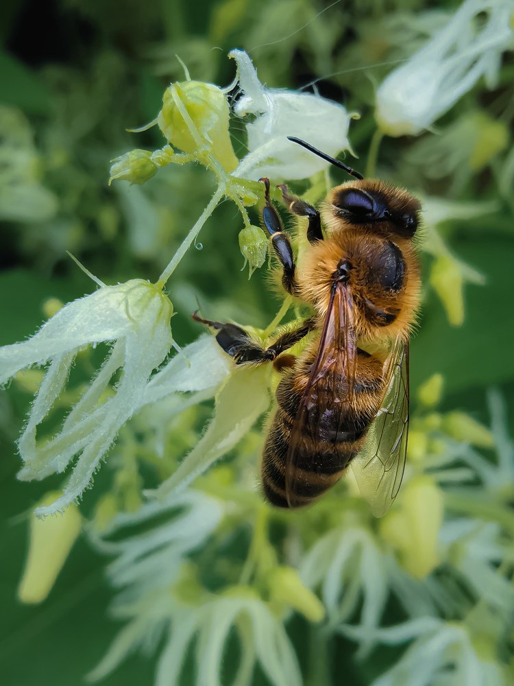 Photograph by Ольга Воронова
