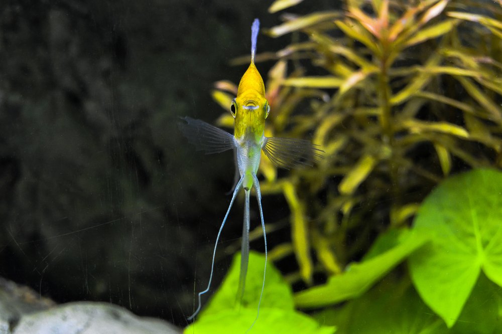 Photograph by Karen Alvarado Tananta