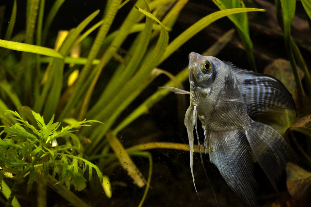 Photograph by Karen Alvarado Tananta