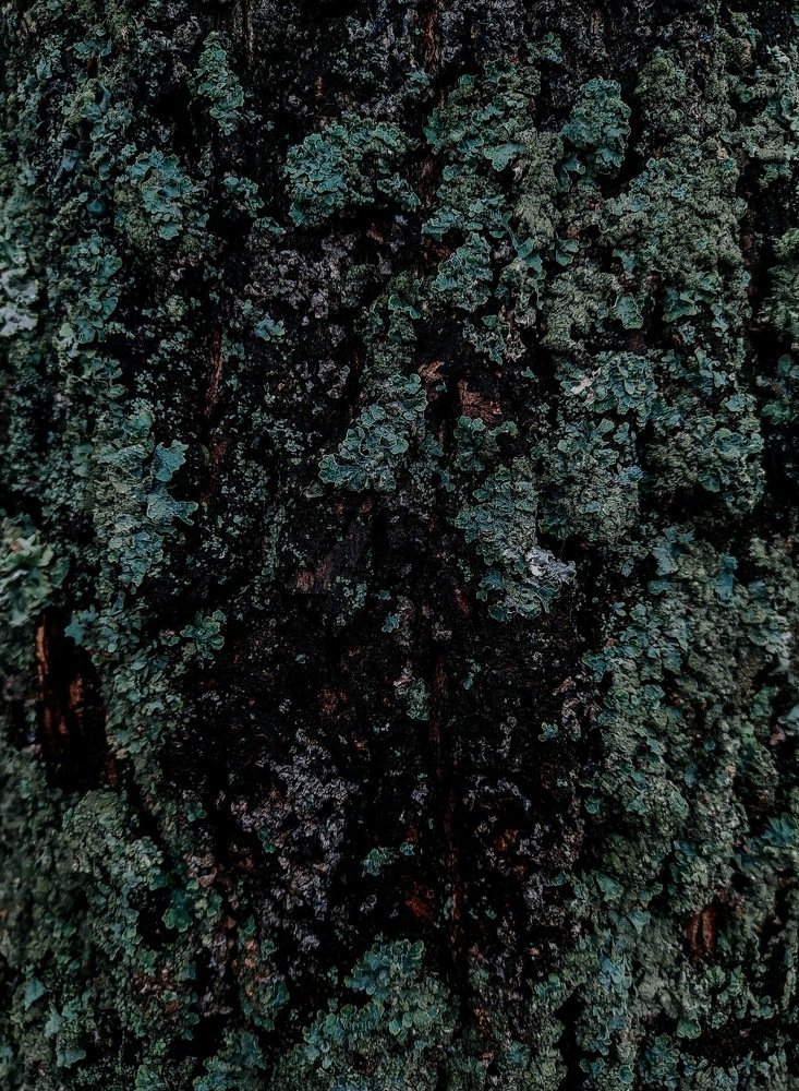 Photograph by Ирина Львова