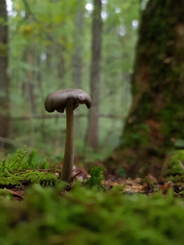 Photograph by Iгор Ситар