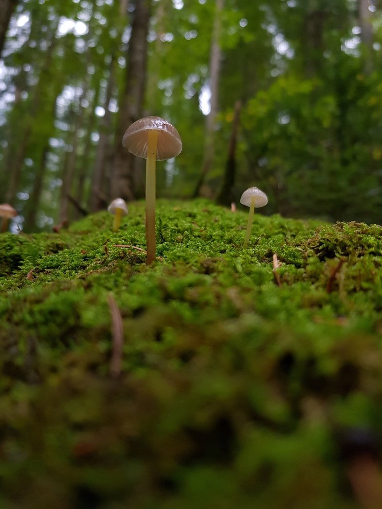 Photograph by Iгор Ситар