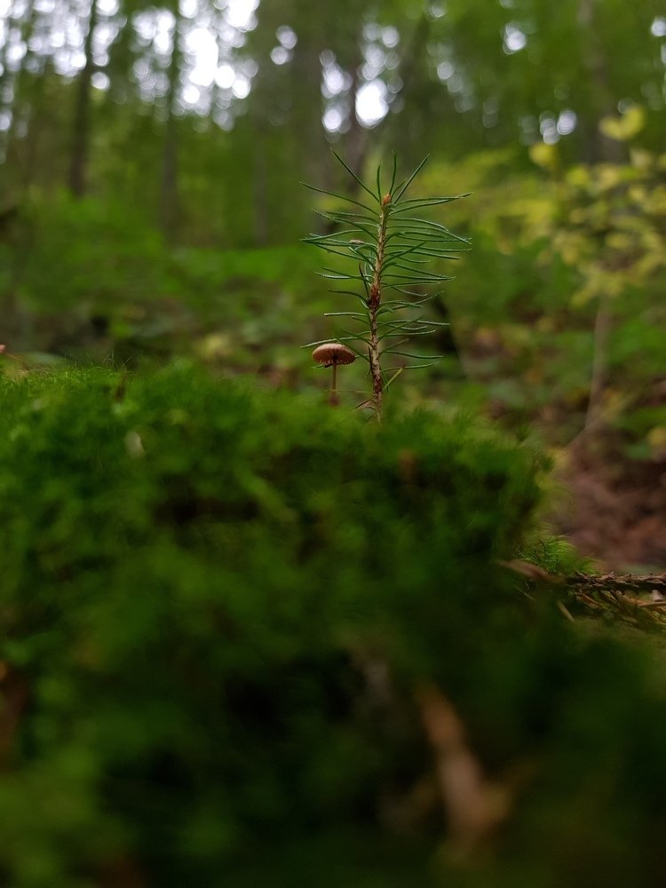 Photograph by Iгор Ситар