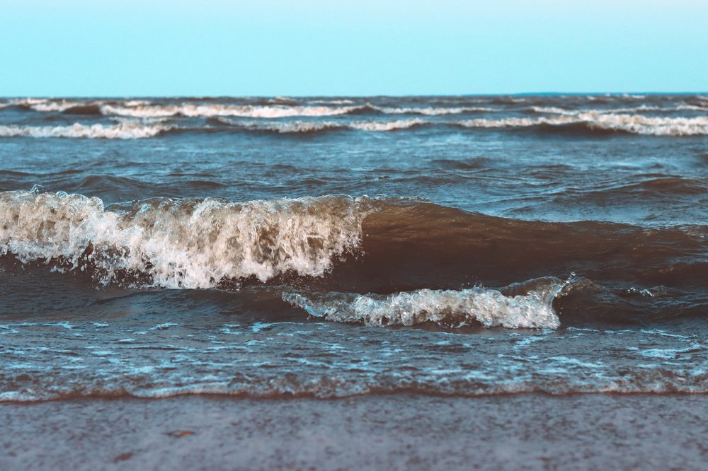 Photograph by Алина Логвиненко