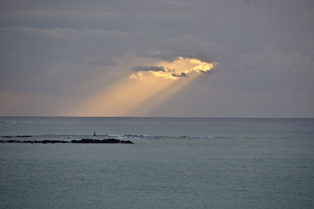 Photograph by 